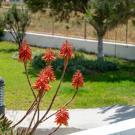 Hotel Bella Santorini Agios Georgios (Santorini)