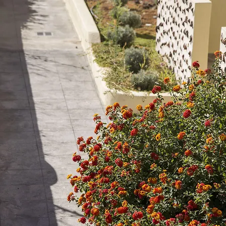 Bella Santorini Отель Agios Georgios (Santorini)