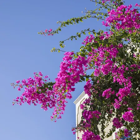 Отель Bella Santorini Agios Georgios (Santorini)