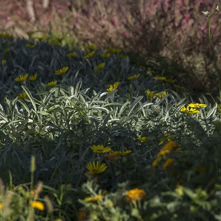 ホテル Bella Santorini 4*