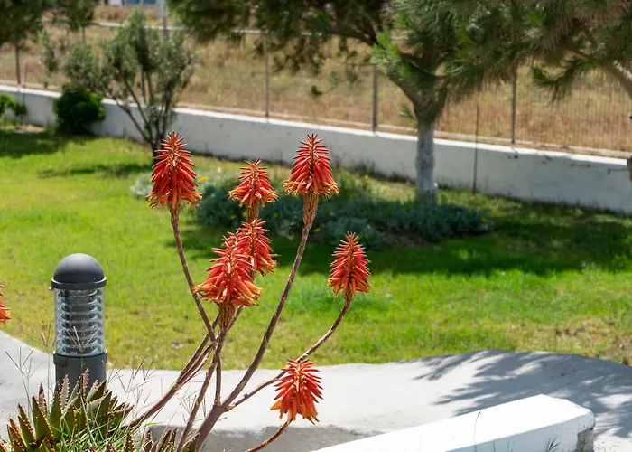Otel Bella Santorini Agios Georgios (Santorini)