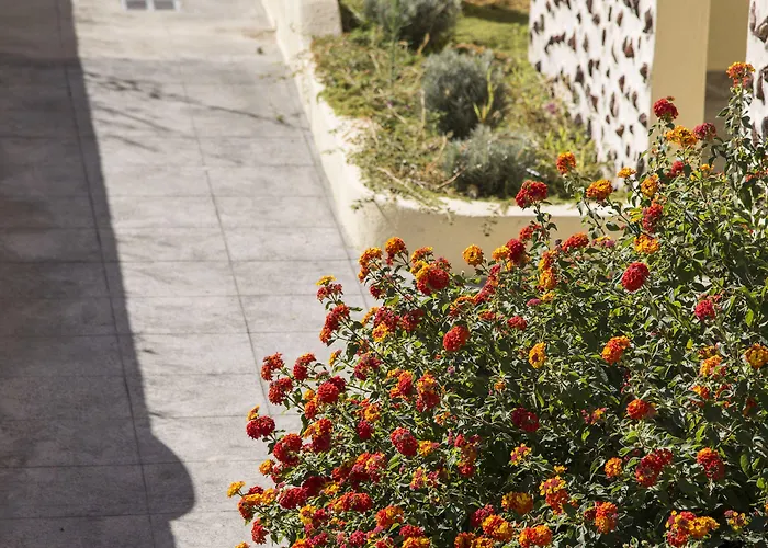 Bella Santorini Otel Agios Georgios (Santorini)