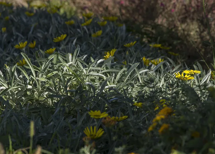 Hotel Bella Santorini 4*