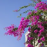 Szálloda Bella Santorini Agios Georgios (Santorini)
