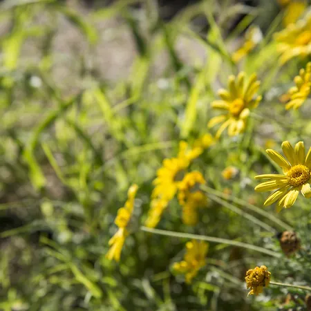 Bella Santorini 4* Agios Georgios (Santorini)